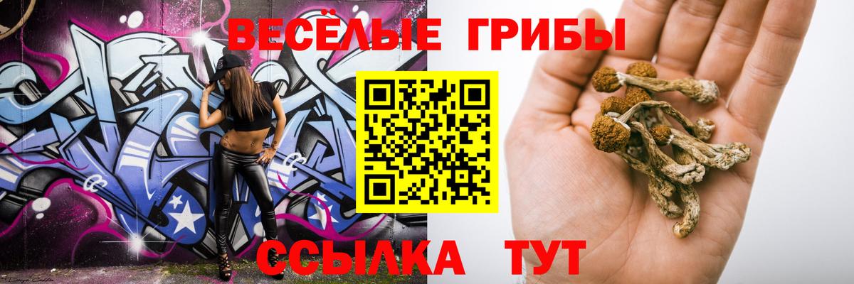 Псилоцибиновые грибы прущие грибы Советский