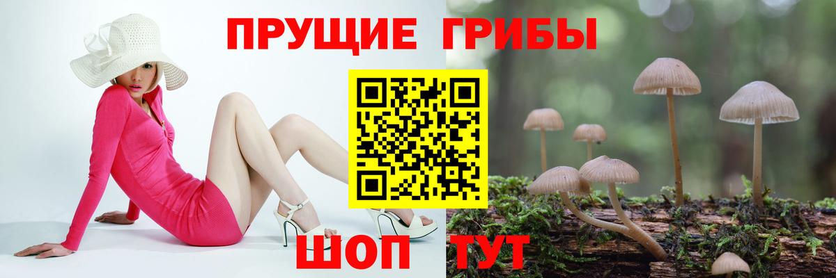 Псилоцибиновые грибы GOLDEN TEACHER  Вход с VPN  Советский 